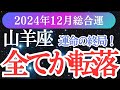 【山羊座】2024年12月のやぎ座運勢と未来を照らす山羊座のメッセージをタロットと星からお届けします！✨