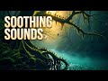 💥🎶 Ancient Mossy Riverbank Ambience | Soft Rainfall &amp; Morning Birdsong for Deep Sleep