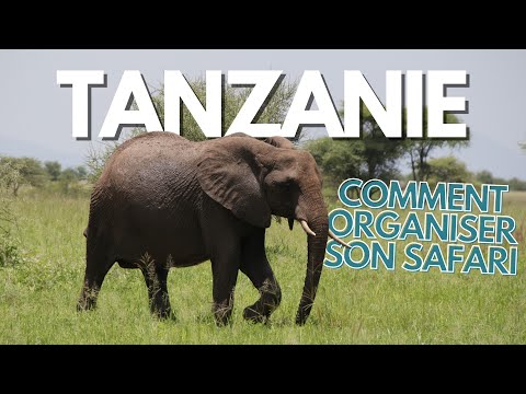 Vidéo: Comment faire un safari en Tanzanie