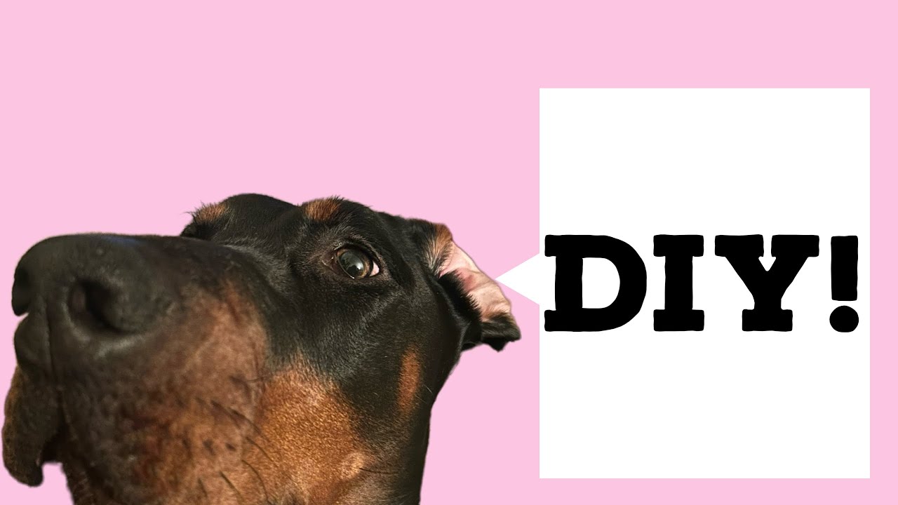 How to make 3 easy dog toys out of socks! YouTube