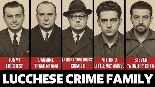 What's the REAL Difference Between Organized Crime and Mafia Families in New York?
