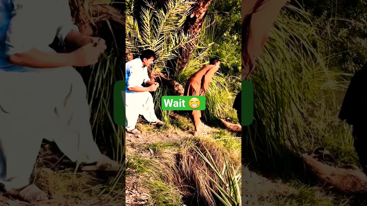 Just Actions, No Dialogues – 100% LOL 🤣 