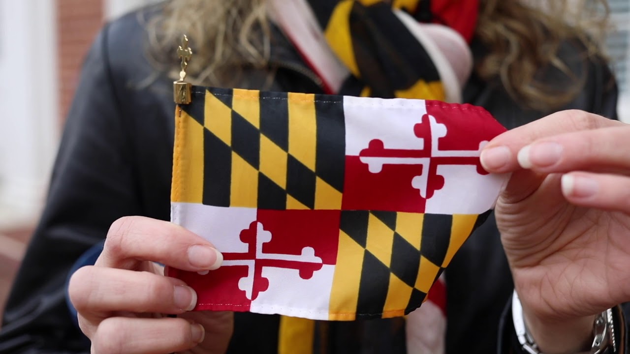 Annapolis Discovered - History