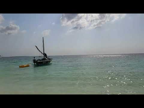 #WAYA#MSAFR#MANI#YAWA.الاغنيه الامزيغية التي يبحت عنها العالم#amazigh#music