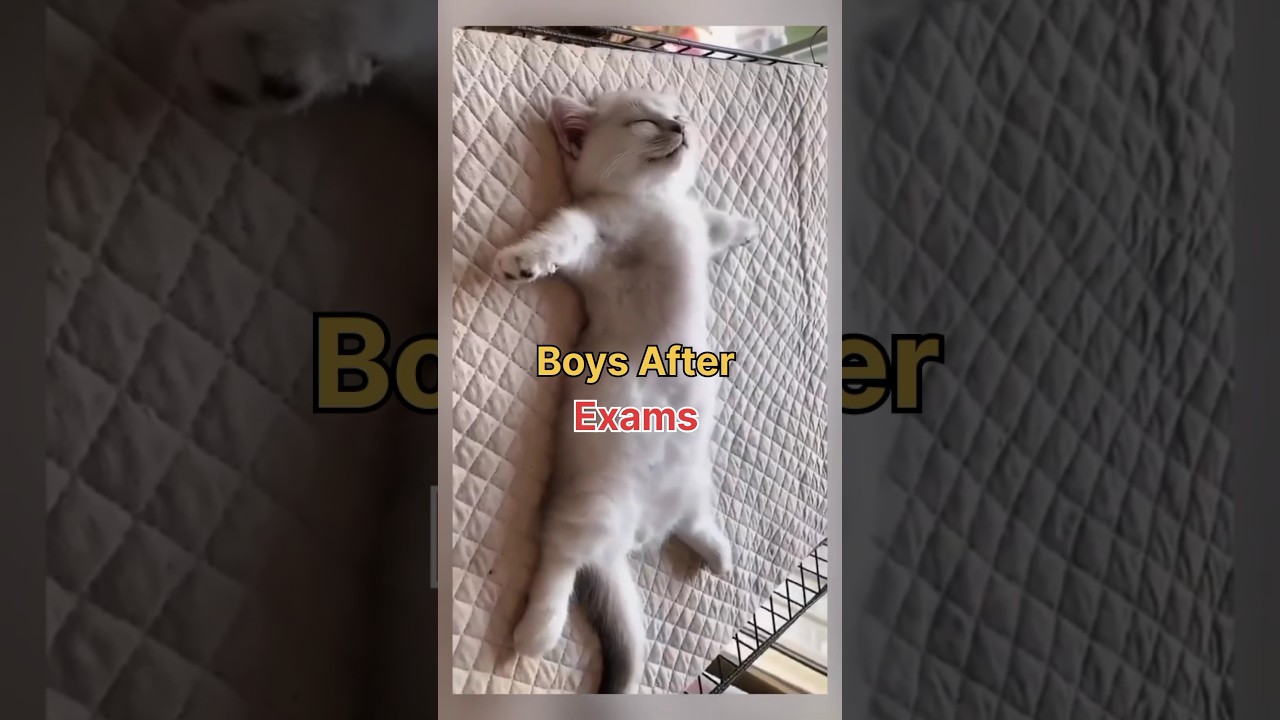 girls after result vs boys after result 