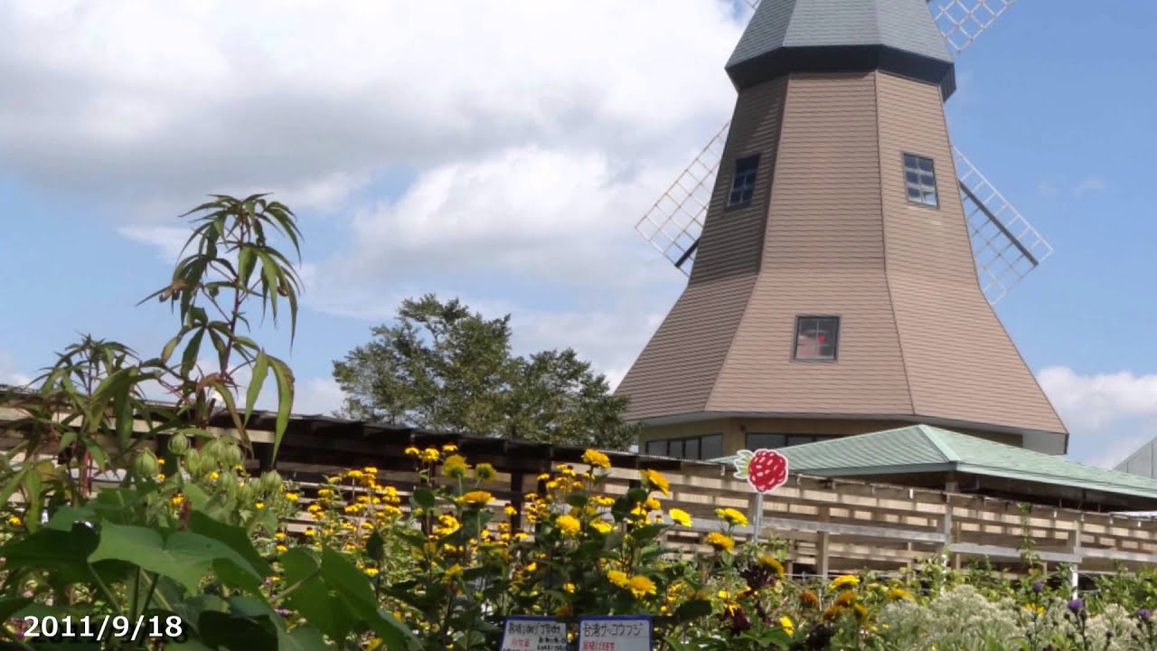 花木センター11 9 18 ホーマック那珂 Youtube