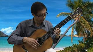 Video thumbnail of "Amor Amor Amor  Guitar Cover (Los Indios Tabajaras Style)"