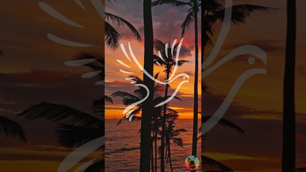 Maintaining a Pure Heart |  Matthew 5:8 KJV | Bible Study