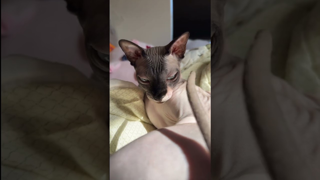 Cosmo plays Red Light Green Light! / Janet and Kate