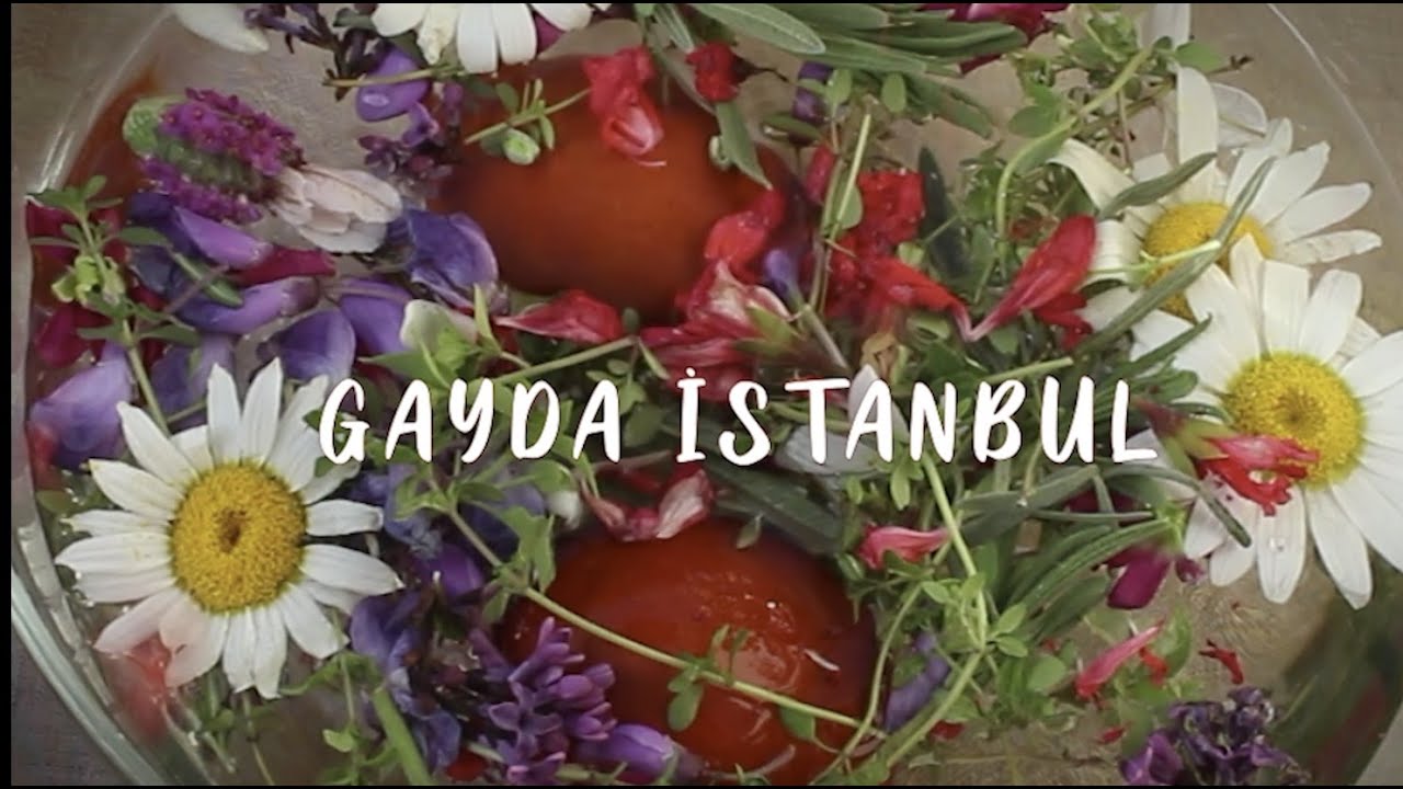 MOME MARİ MOME / SAR BENİ SAR