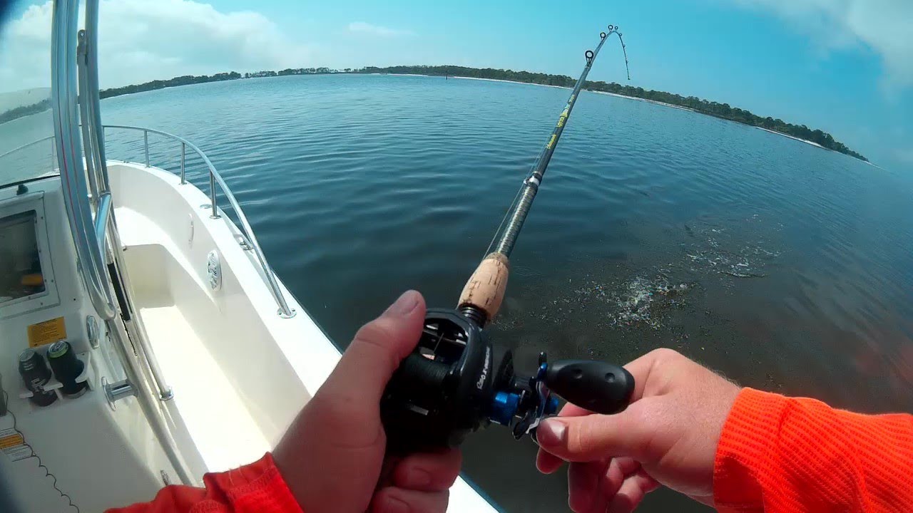 Dog Island Part 1 Inshore and Surf Fishing YouTube