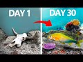 I Simulated an Ocean for 30 Days
