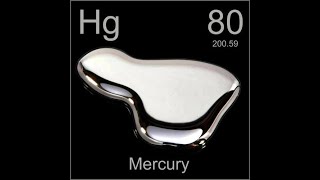 The Human Exposure Pathway of Mercury (MCCP 6010/7010 Group 8)