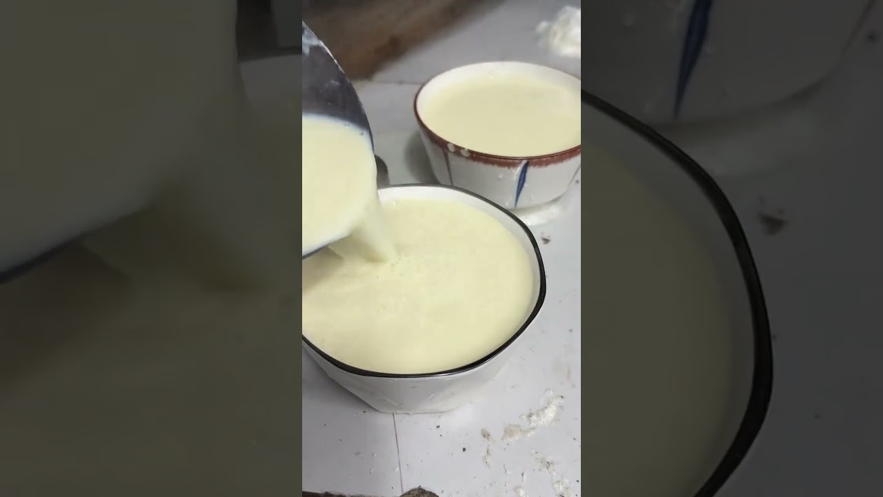 Discover the Art of Handmade Tofu Arrangements: A New Year's Tradition