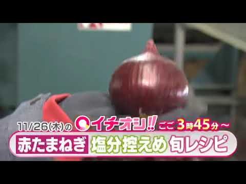 【公式】11月26日（木）イチオシ！！番組予告