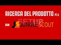 AMAZON FBA - Ricerca del prodotto da +30k/mese con Jungle Scout