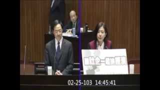 20140225 立委王育敏於院會質詢社會企業問題