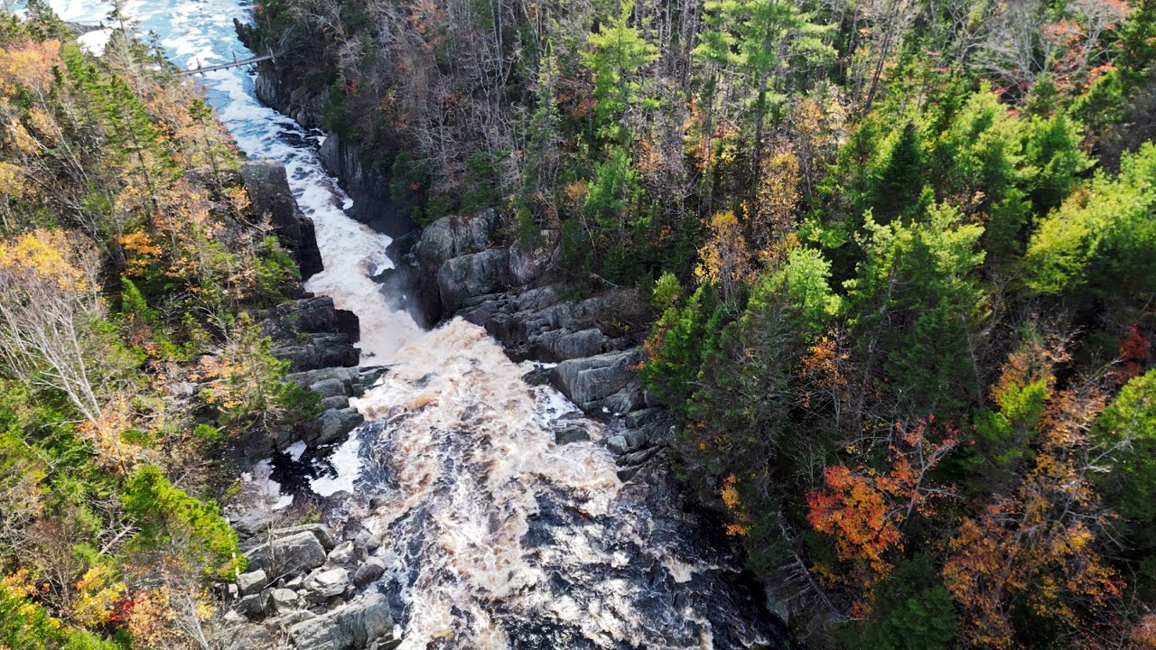 Awesome Autumn Aerial Views of Amazing River Falls and Fish