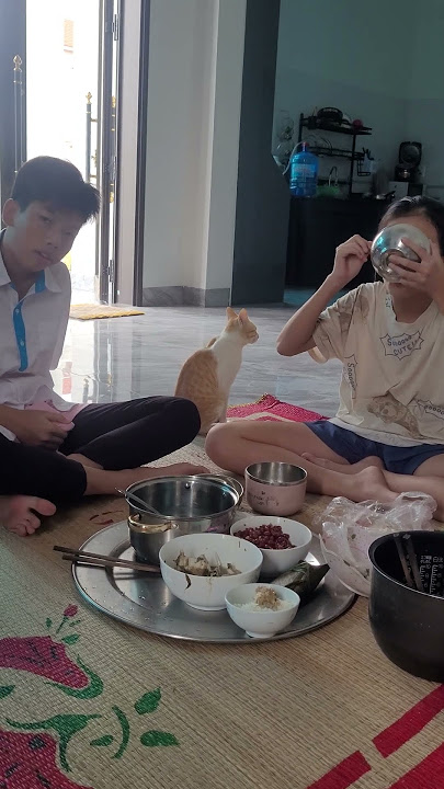 vòi voi buổi trưa