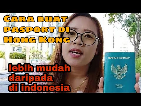 Video: Cara Membuat Pasport Untuk Anjing