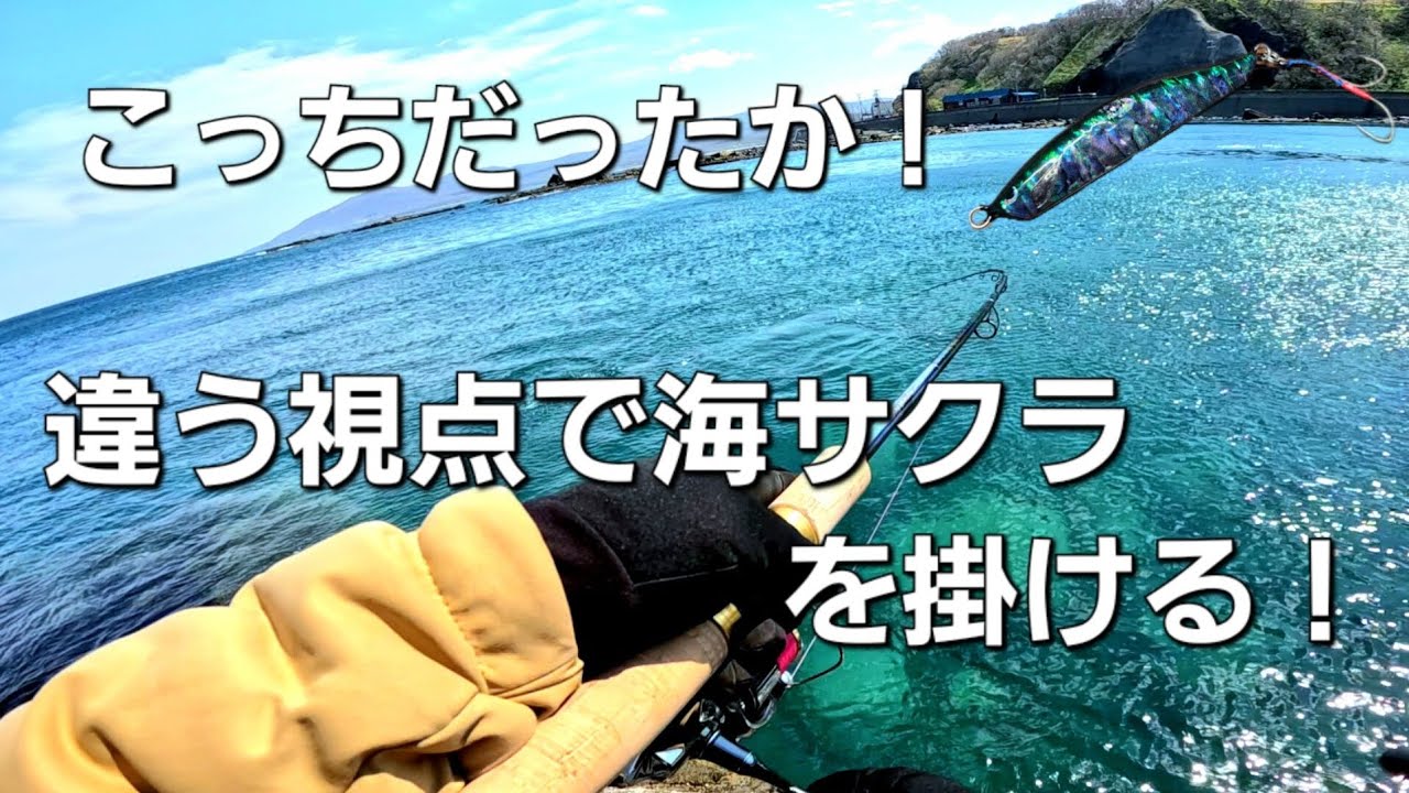 海サクラマスを釣るならたまにはセオリーを外してみるのもありでした【北海道釣り】【海アメマス海サクラマス】【ショアジギング】