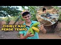 O RESULTADO DO PÉ DE BANANA