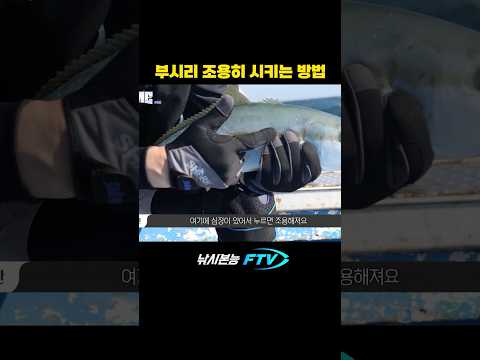 <strong>부시리</strong> 조용히 시키는 법 #shorts