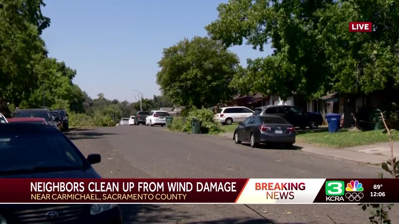 Winds knock down trees in Sacramento County