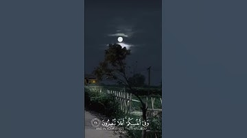 تلاوة خاشعة للقارئ إسلام صبحي