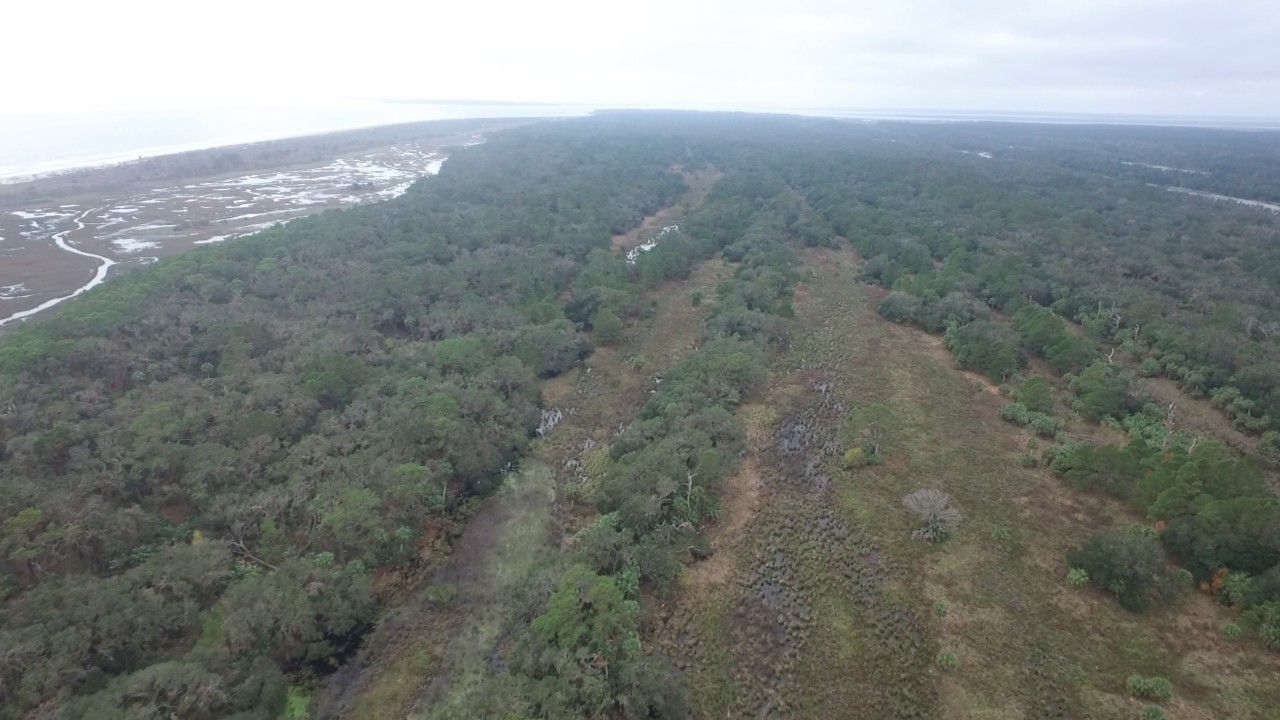 Ossabaw Island 1 YouTube