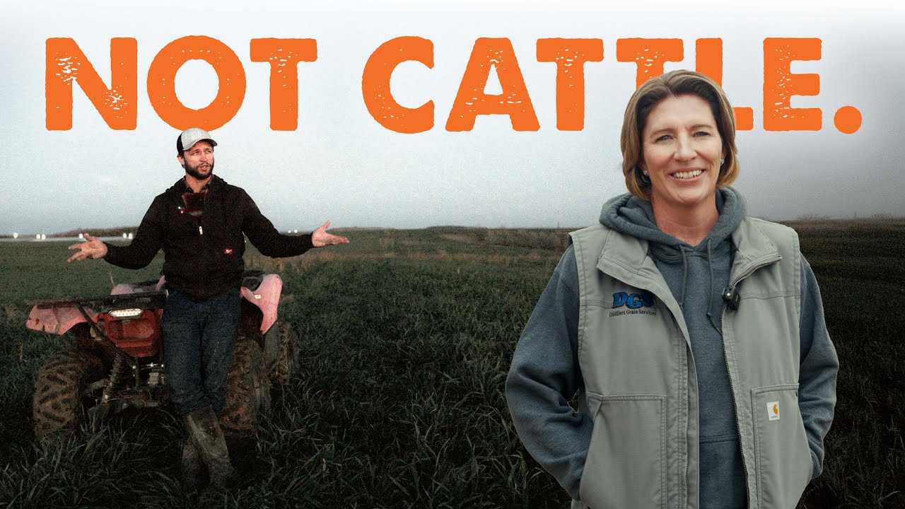 Why Running Riomax® + Rhyzogreen® Is a No-Brainer