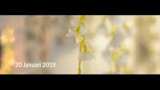 Master David foto 201901'20 M&P foto murah jogja video clip klip cinematic wedding MDFVC screenshot 1