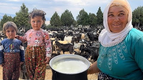 1000 KEÇİLİK DEV SÜRÜ !!! YÖRÜKLERİN DOĞAL HAYATI | BELGESEL 4K