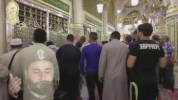القارئ عمار العبيدي| البشر ثم الحجر يحب❤️ ابو القاسم..ياربي اشكو اليك