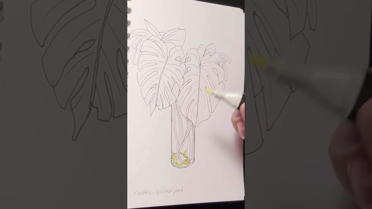 Coloring my houseplant drawings for my sis.