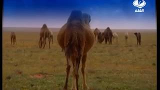 سفر الابداع العربي الحلقة 25