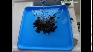 Photos and sampling underwater in Macroscopy