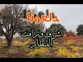 دبكة مجوز سريعة دلعونا يازريف الطول غناء رافت واشرف القنطار 