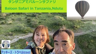 タンザニア/サファリ③/2月、バルーン・サファリ in Ndutu,2024.2.9-Tanzania safari Vol 3 Baloon Safari in Ndutu