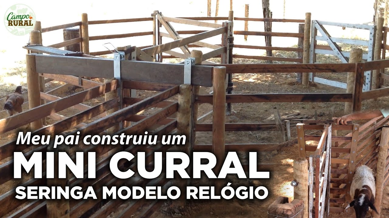 MEU PAI CONSTRUIU UM MINI CURRAL P/ OVINOS - SERINGA MODELO RELÓGIO