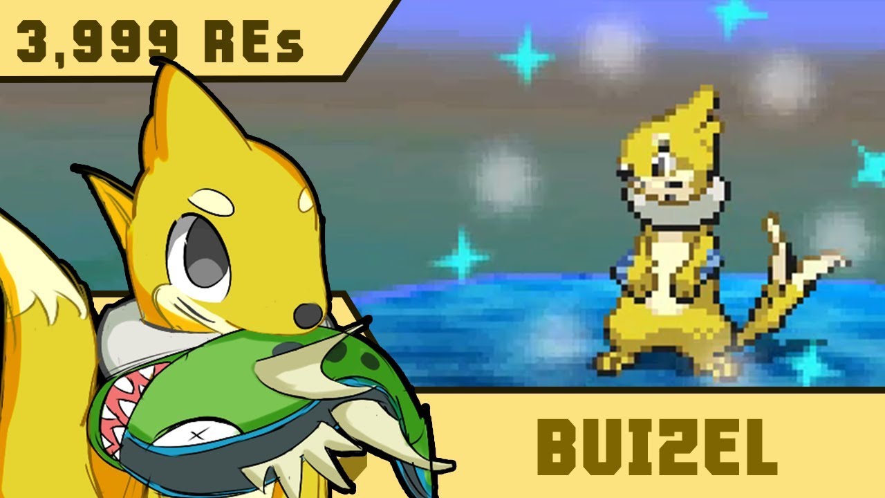 [DTQ #4] Live Shiny Buizel in 3,999 Rippling Water Encounters! • Pokemon W2