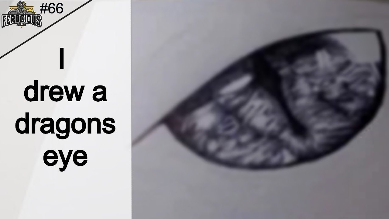 I used ballpoint to draw a dragons eye (day 66/100)