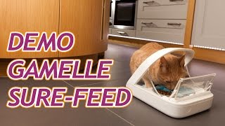 Démonstration SureFeed  Gamelle électronique pour chat