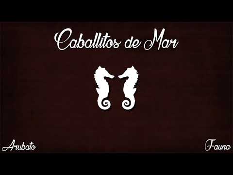 1. Caballitos de mar |Arubato Tv| [Fauna] Prod. EdobyBeats