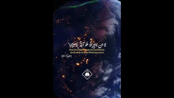 ماهر المعيقلي- سورة هود آية 56