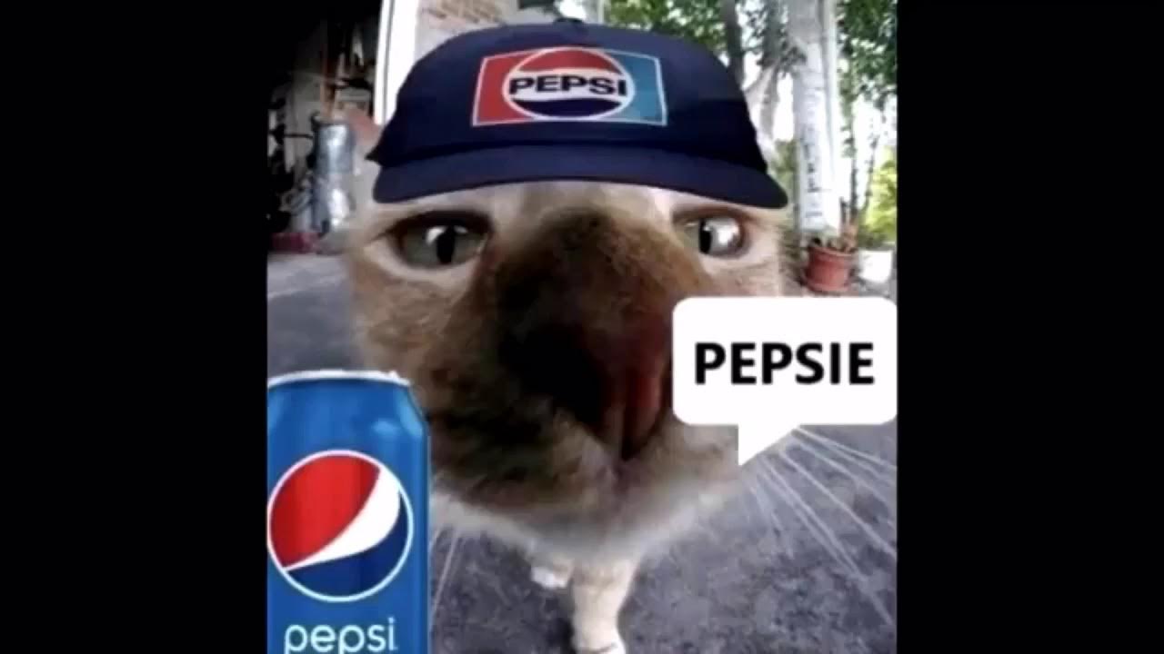 funny-cats-saying-soda-names-youtube