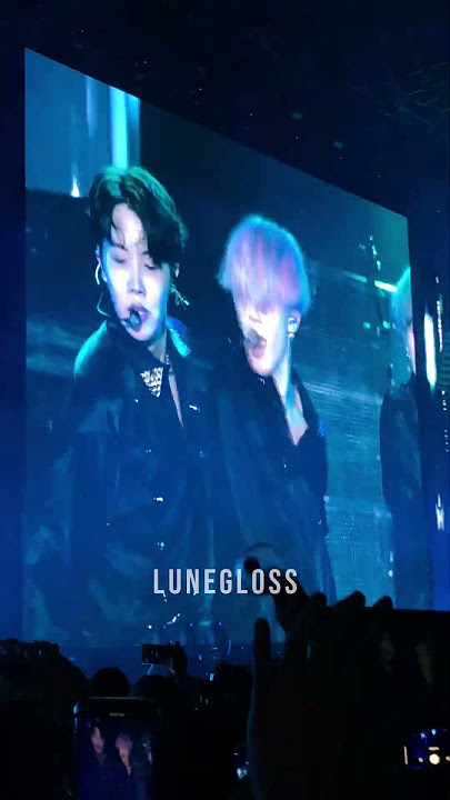 BTS Love Yourself Tour FAKE LOVE jungkook no ab show- Singapore National Stadium 190119 방탄소년단 FANCAM