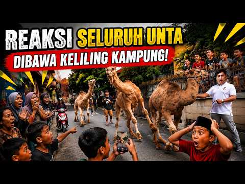 Fakta baru lagi aja nih, setelah dibandingkan kayanya ini Unta Bogel deh!