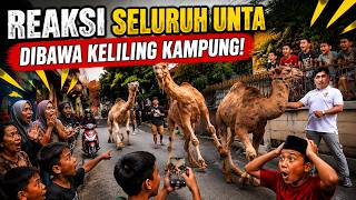 Fakta baru lagi aja nih, setelah dibandingkan kayanya ini Unta Bogel deh!