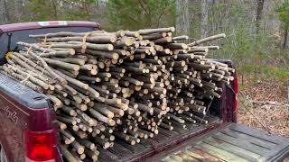 Its Time Tocut Sticks.
